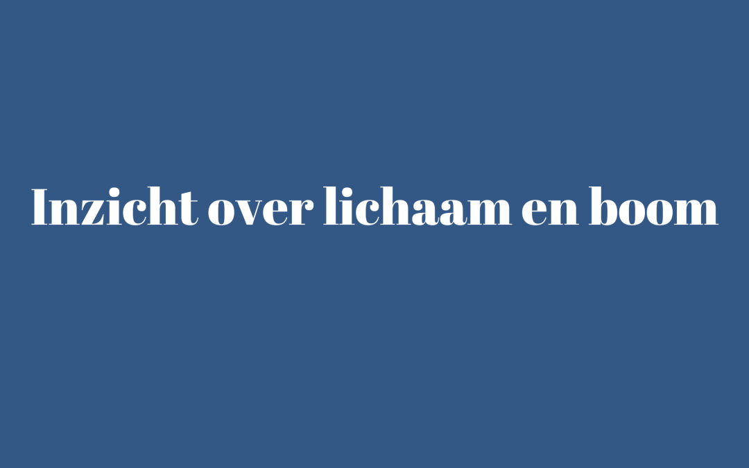 Inzicht over lichaam en boom